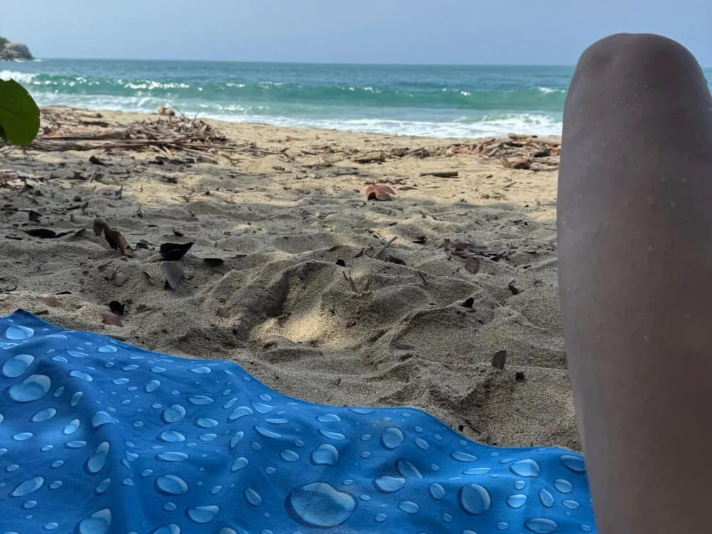 suculentoxxx Offline XXX-Chat