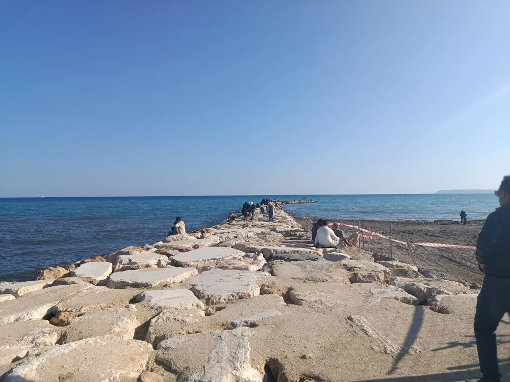 RopingHerring Offline XXX Chat