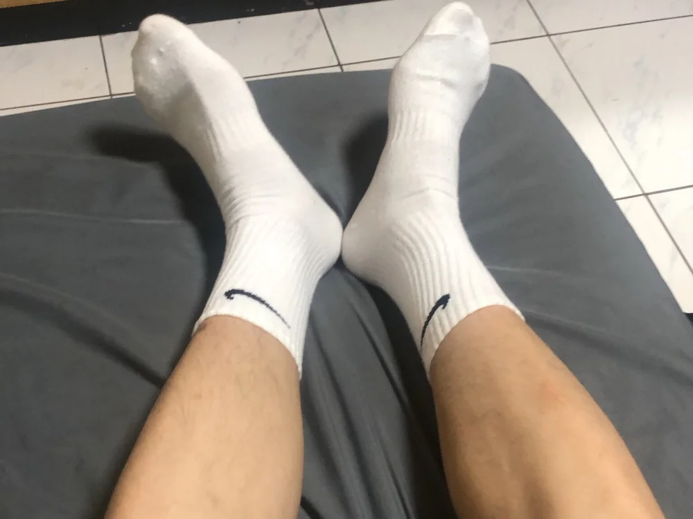Twdog12cm 离线XXX聊天
