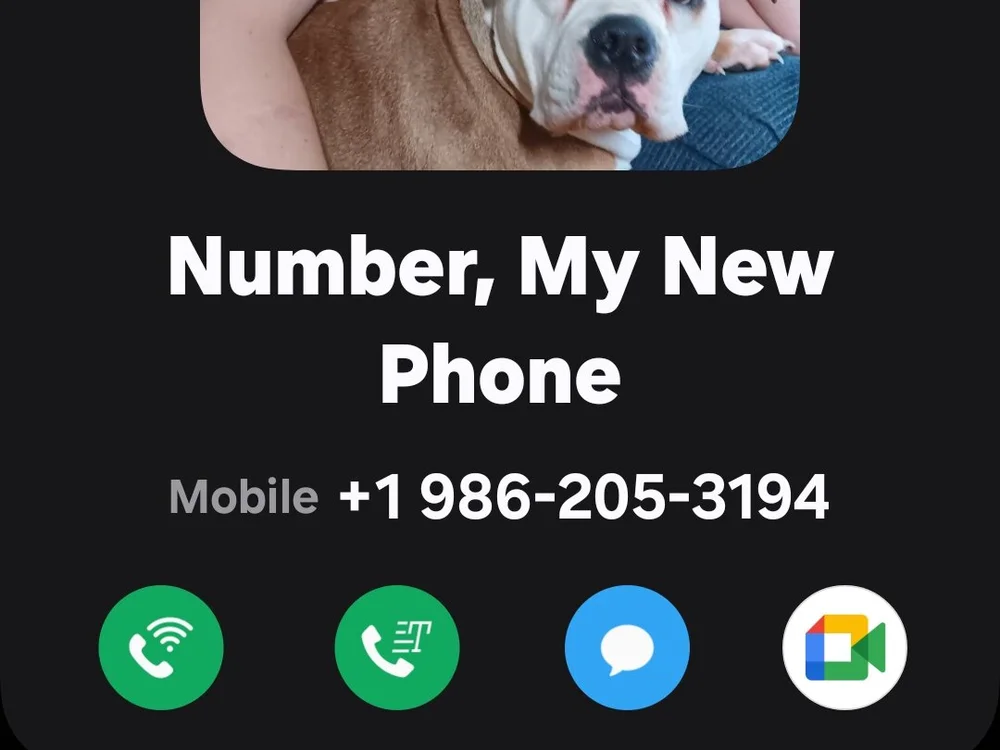 RichardHildeman187's Offline Chat Room
