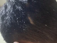 1750luis 🚃 free sex chat