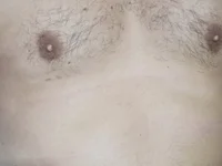 Модель bodrumbeyi