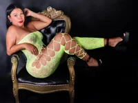 Модель sh_malala