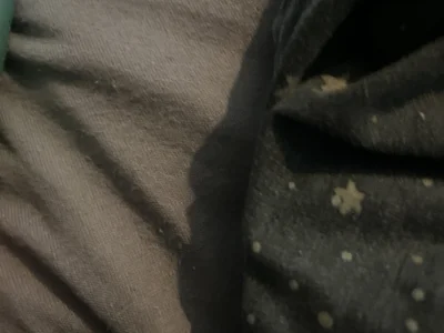 Fullfillyourdreams Male Men Porn Webcam