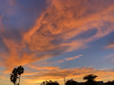 EricSwainn901 profile