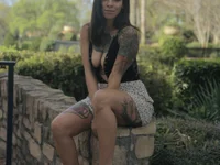 Модель HailWildss