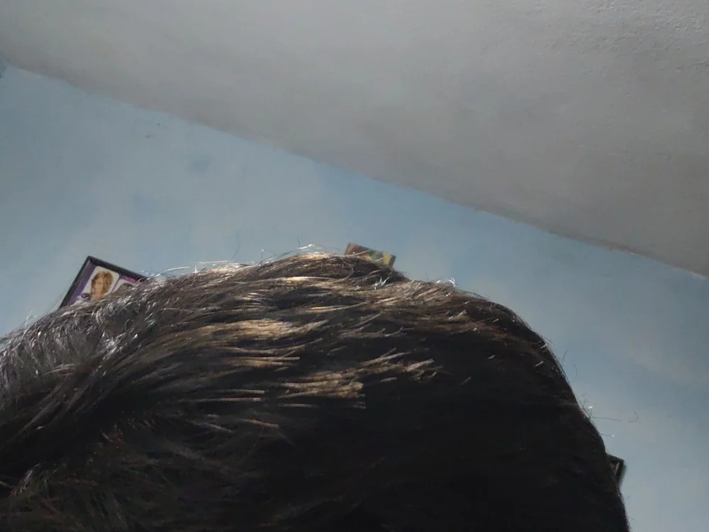 Donctskdes cover photo