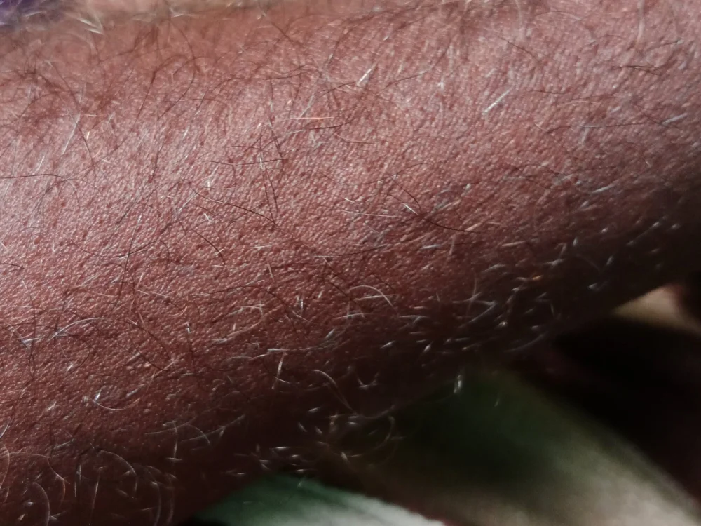 ky047273