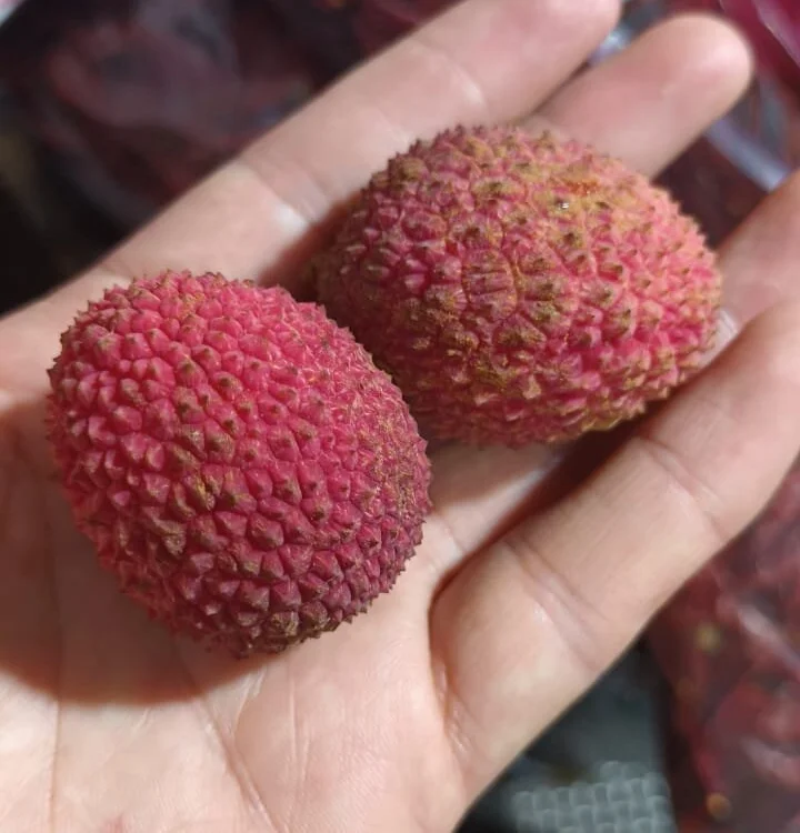 Офлайн-чат XXX yefercar