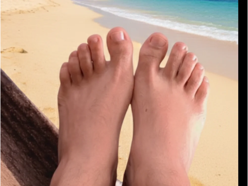 Silva2640 Chat XXX offline