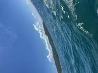 dotadonen17's webcam live show