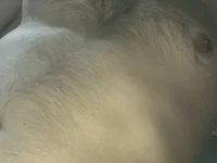 Billiam0387 webcam