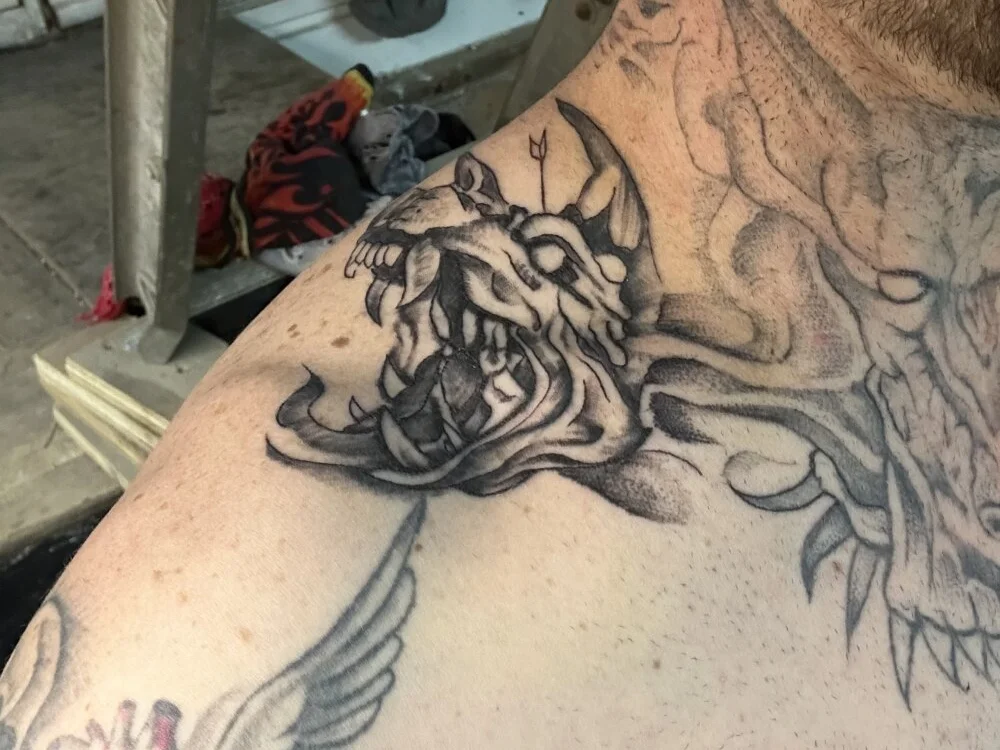 WIDBIGWHITECOCK offline XXX-chatje