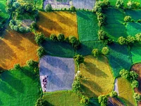 Модель Browngirl7