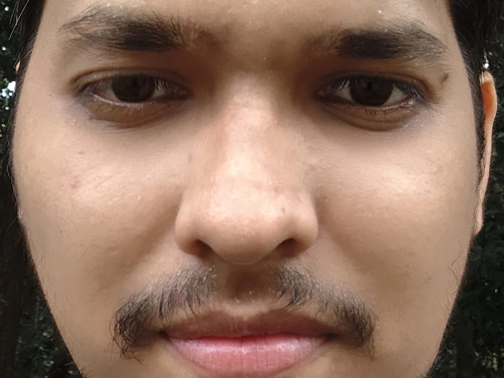 JostledCardamom cam model