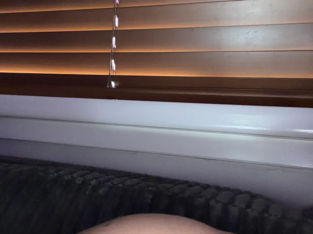 fapmr08