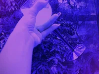 Chat XXX Live Yoyo-__