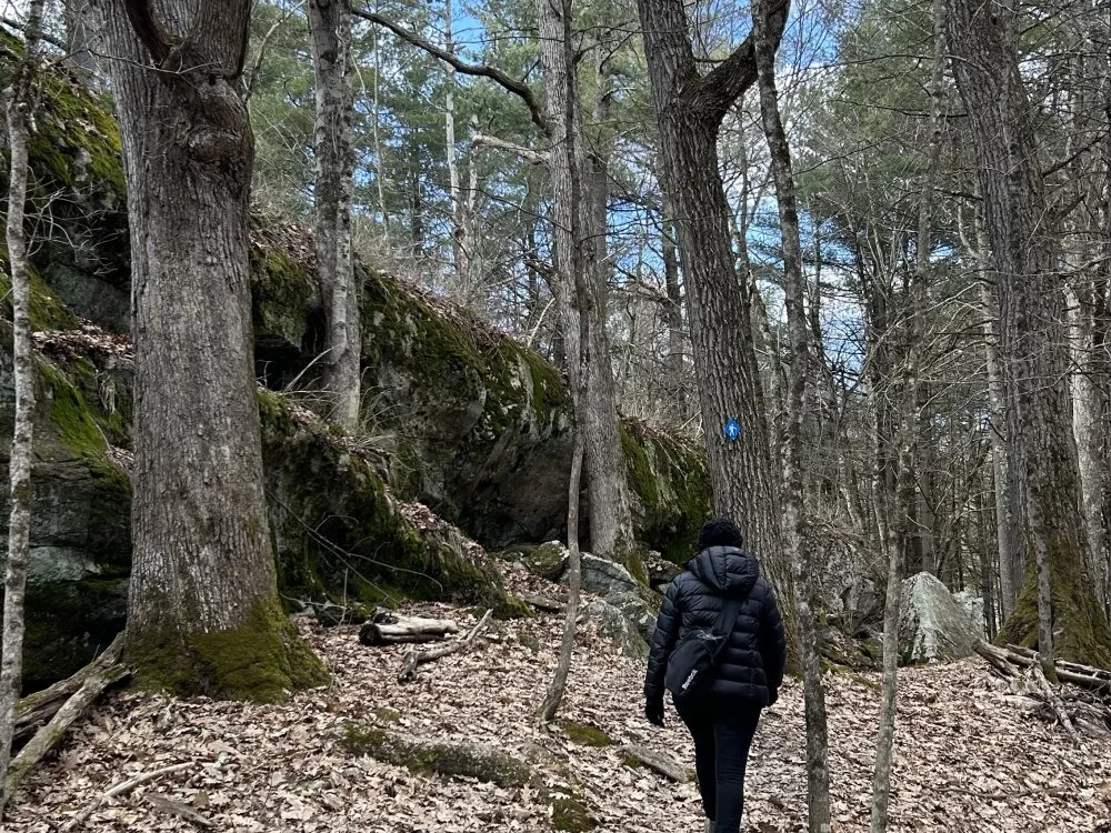 carlossdfr's Offline XXX Chat