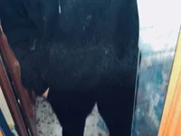 XxxcalienteexxX