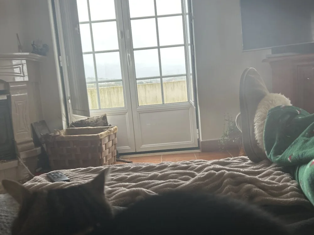 DANIELOLIVEIRA2's Offline XXX Chat