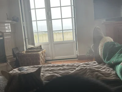 DANIELOLIVEIRA2 profile