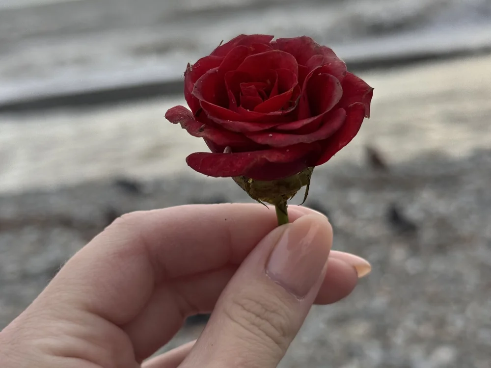 Miraulous: офлайн-секс-чат