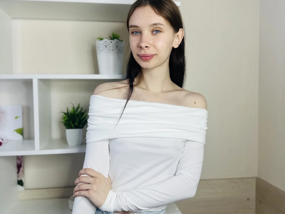 GemmaBrow offline chatrum