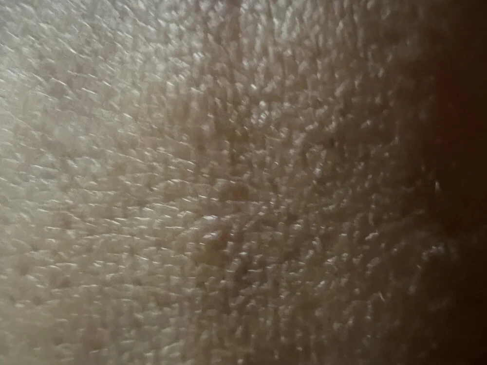 Miss_BERLIN Offline XXX-chat