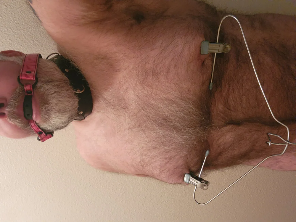 צ'אט XXX לא מקוון של piggy4pain