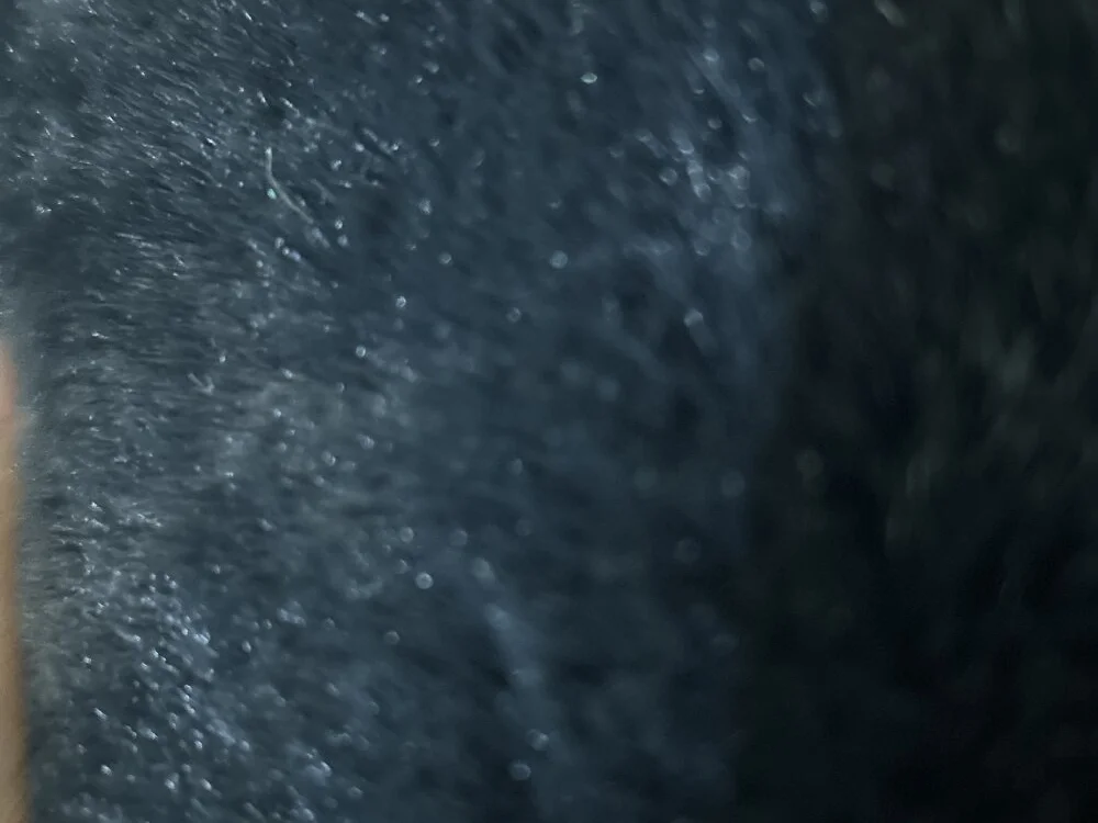 MoonLitSin_45 Offline XXX-Chat