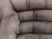 Модель yoh5647