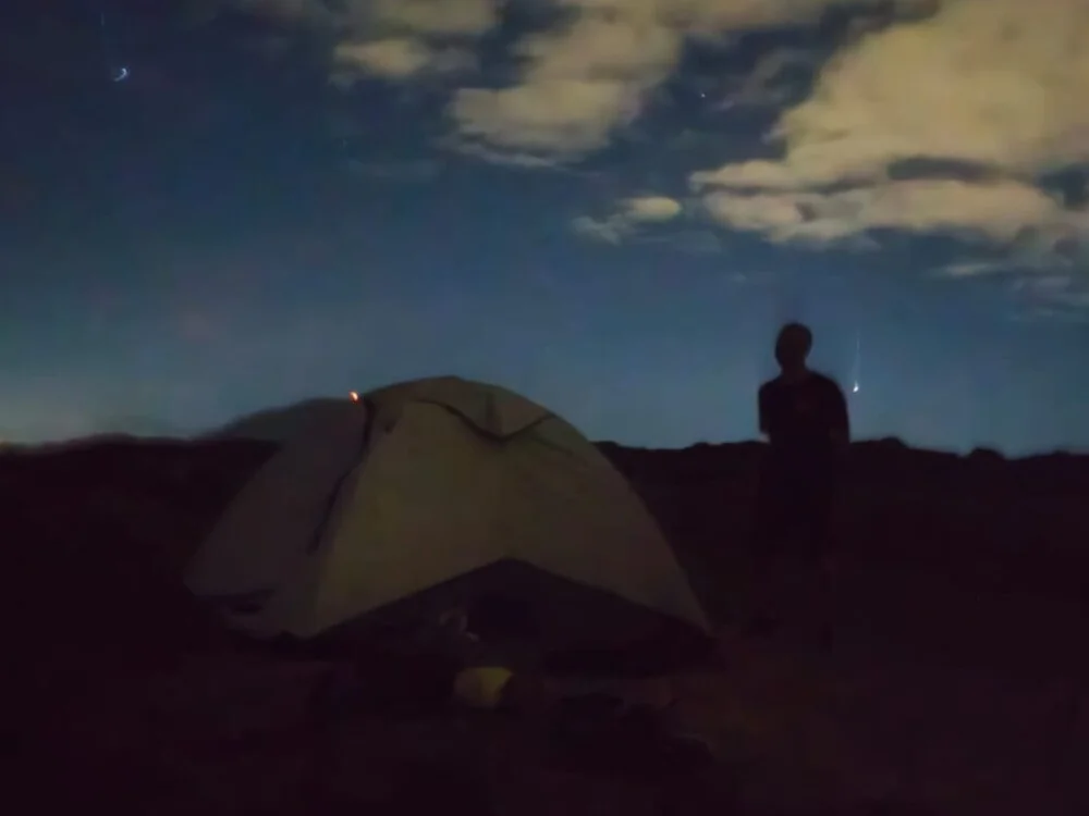 fnoggg Offline XXX-chat