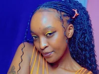 Модель dime213