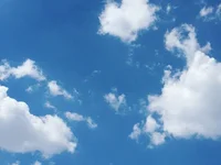 Icmjeoa