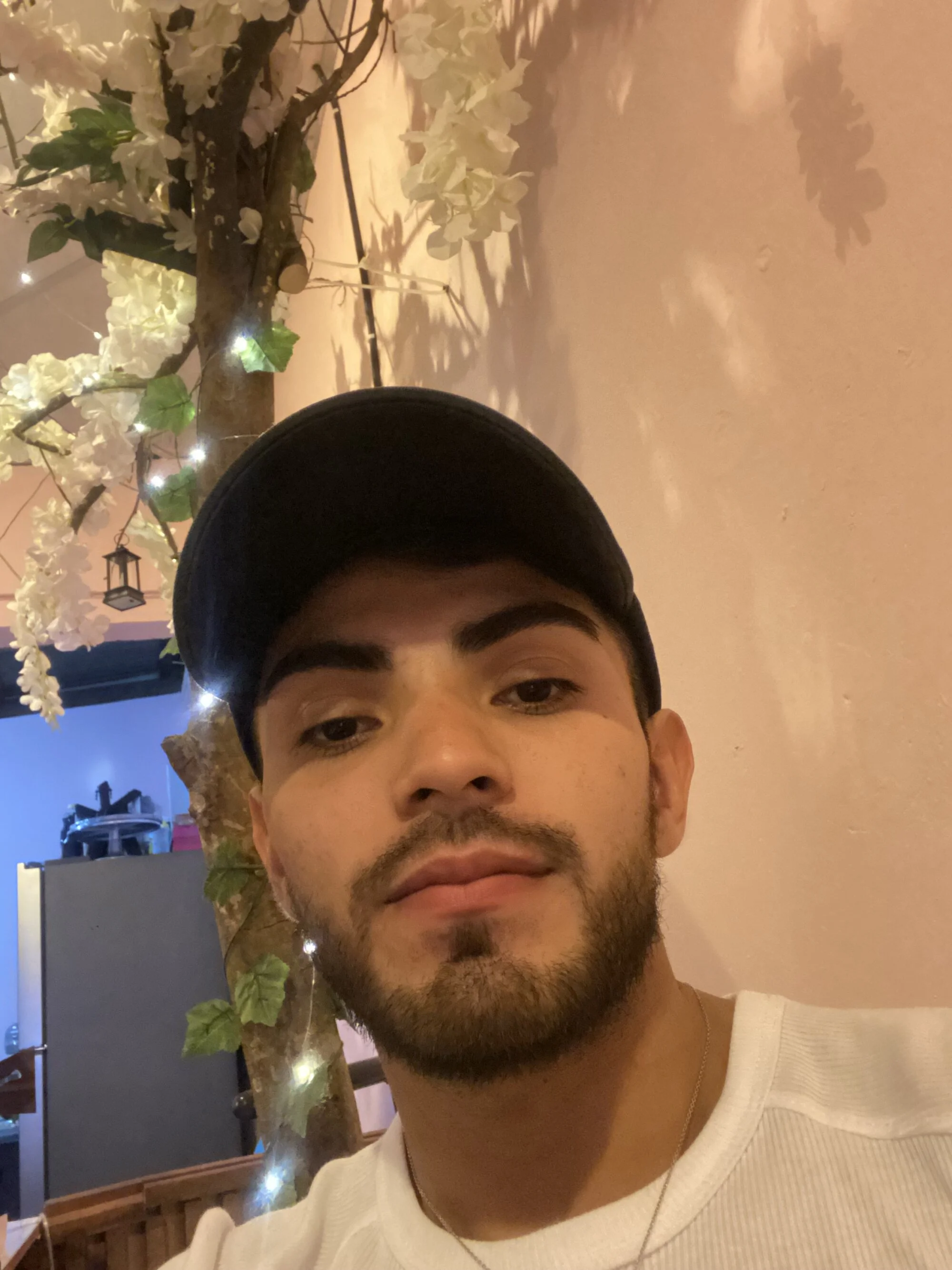Torreytyo live webcam
