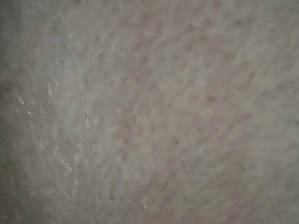 nobodyknowsme178: συνομιλία ΧΧΧ εκτός σύνδεσης