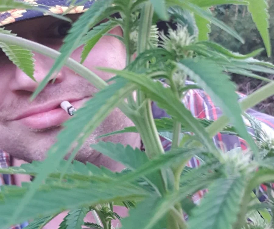 ห้องแชทออฟไลน์ของ Hippiep