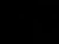 markus060602w