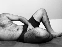 TheArab_bear