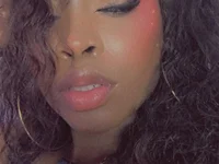 Модель KAROL-SCOTT