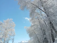 bitabitabig's webcam live show