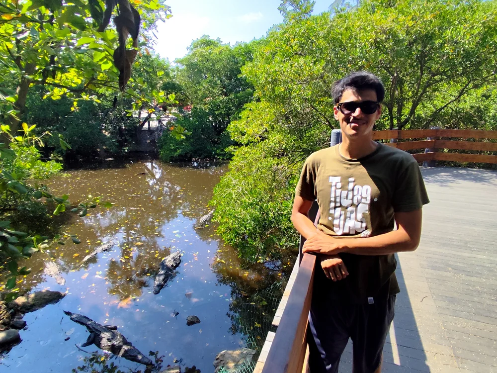 lwisek cover photo