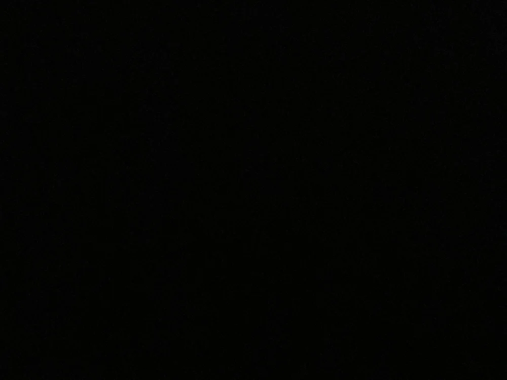 blues12355