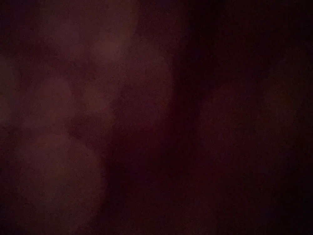 StevenCum69's most recent online preview