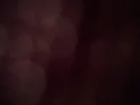 StevenCum69