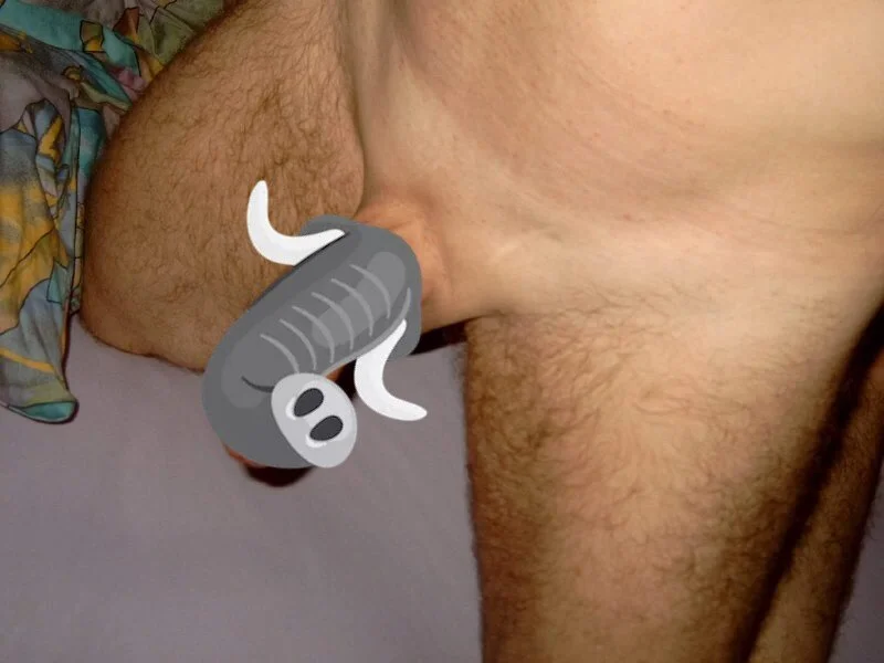 Офлайн-чат XXX schlecker66