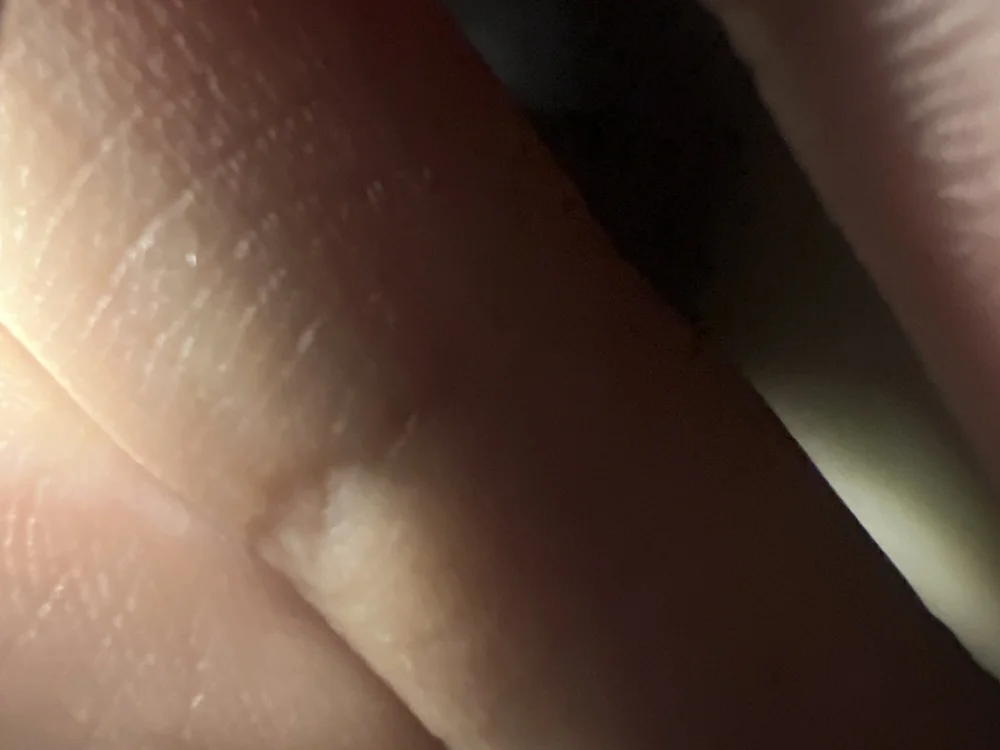 medami 오프라인 XXX 채팅