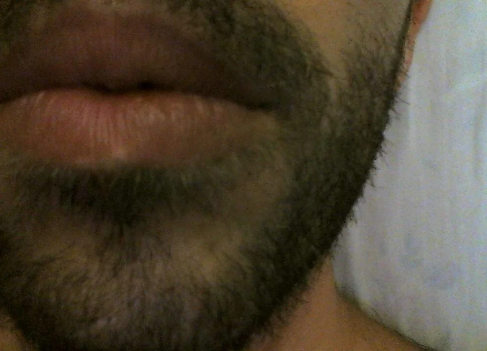 Scimmietta_ offline chatrum