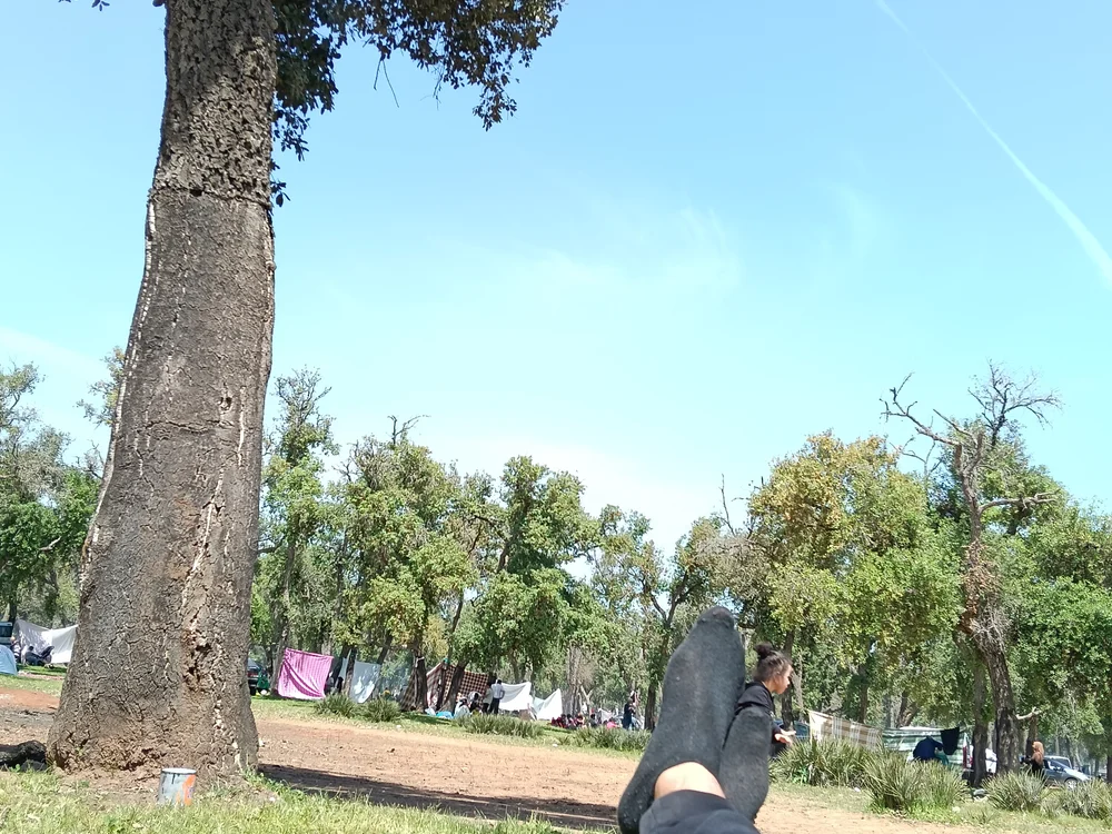 GreatestGoogly Chat XXX Ngoại tuyến