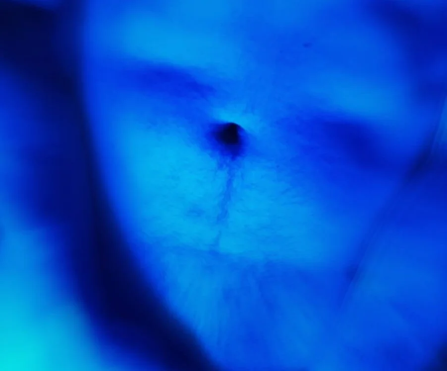 danybeck23's Offline XXX Chat